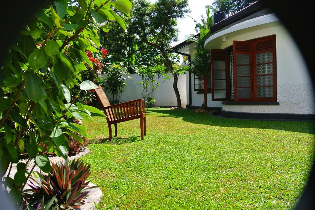 "27" Spathodea- Oasis In The City Colombo Camera foto